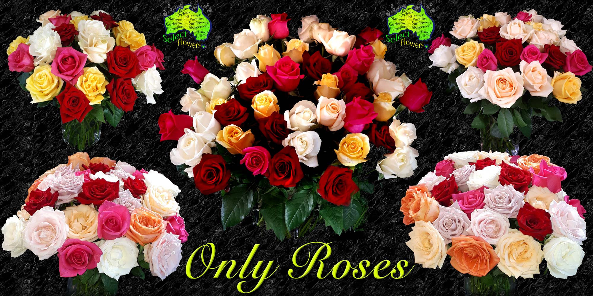ONLY ROSES
